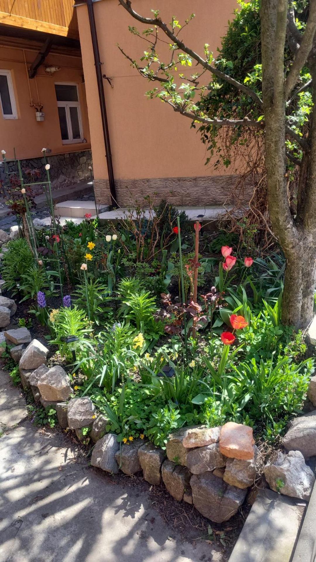 John Residence Apartment Brasov With Parking Option Екстериор снимка